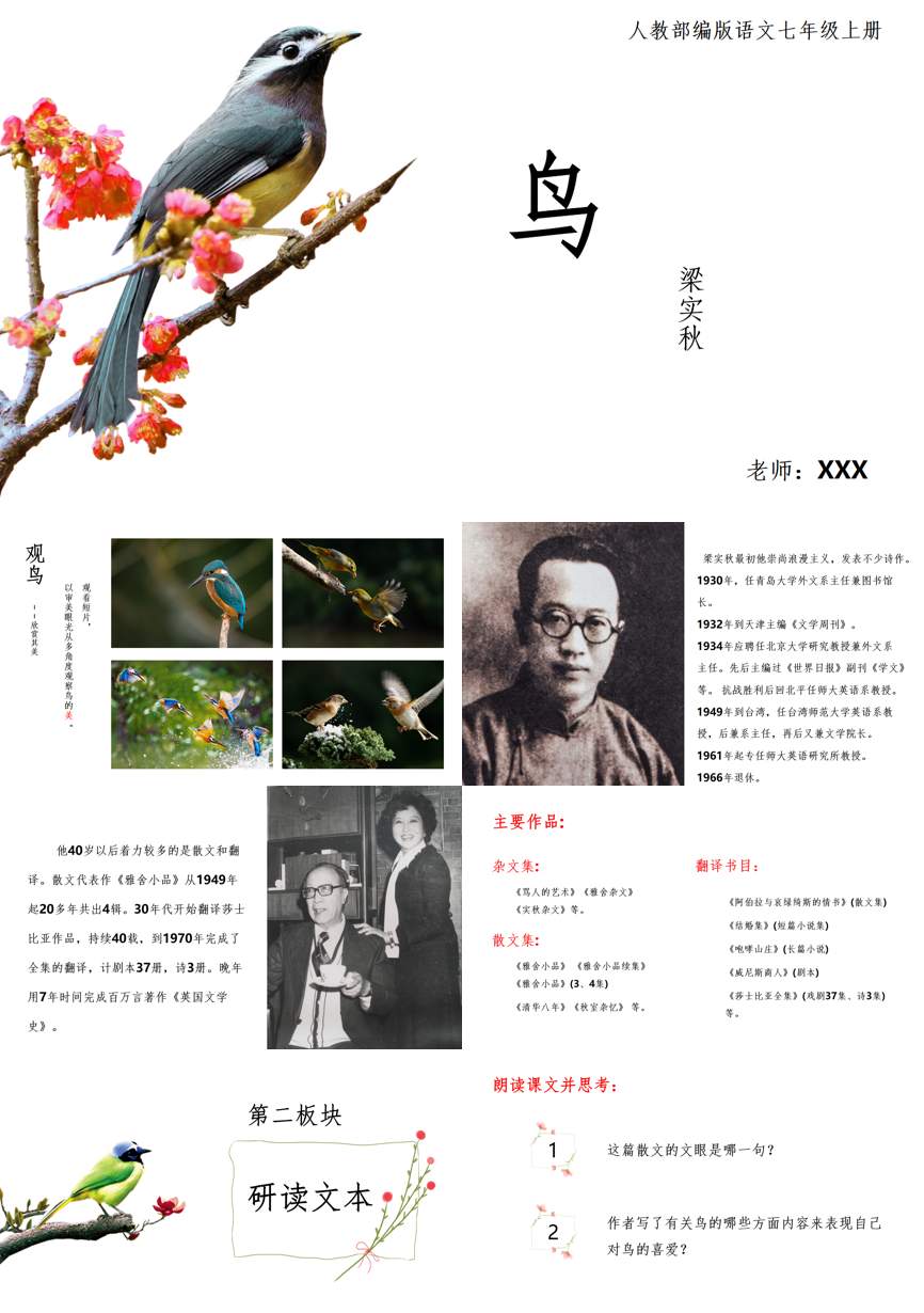 教育说师(315)教学课件PPT模板