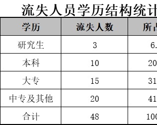 流失人员学历结构比例图行政人事excel模板
