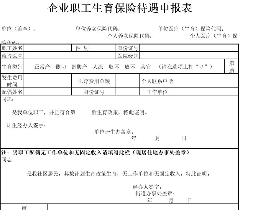 生育保险申报表行政人事excel模板